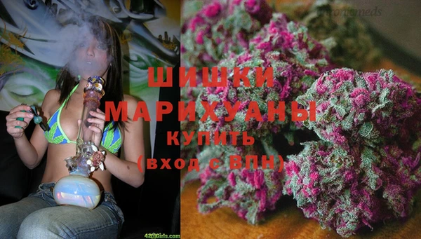 Альфа ПВП Магас