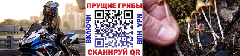 Псилоцибиновые грибы Magic Shrooms  Сольцы 