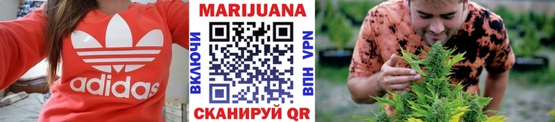 Конопля гибрид Сольцы